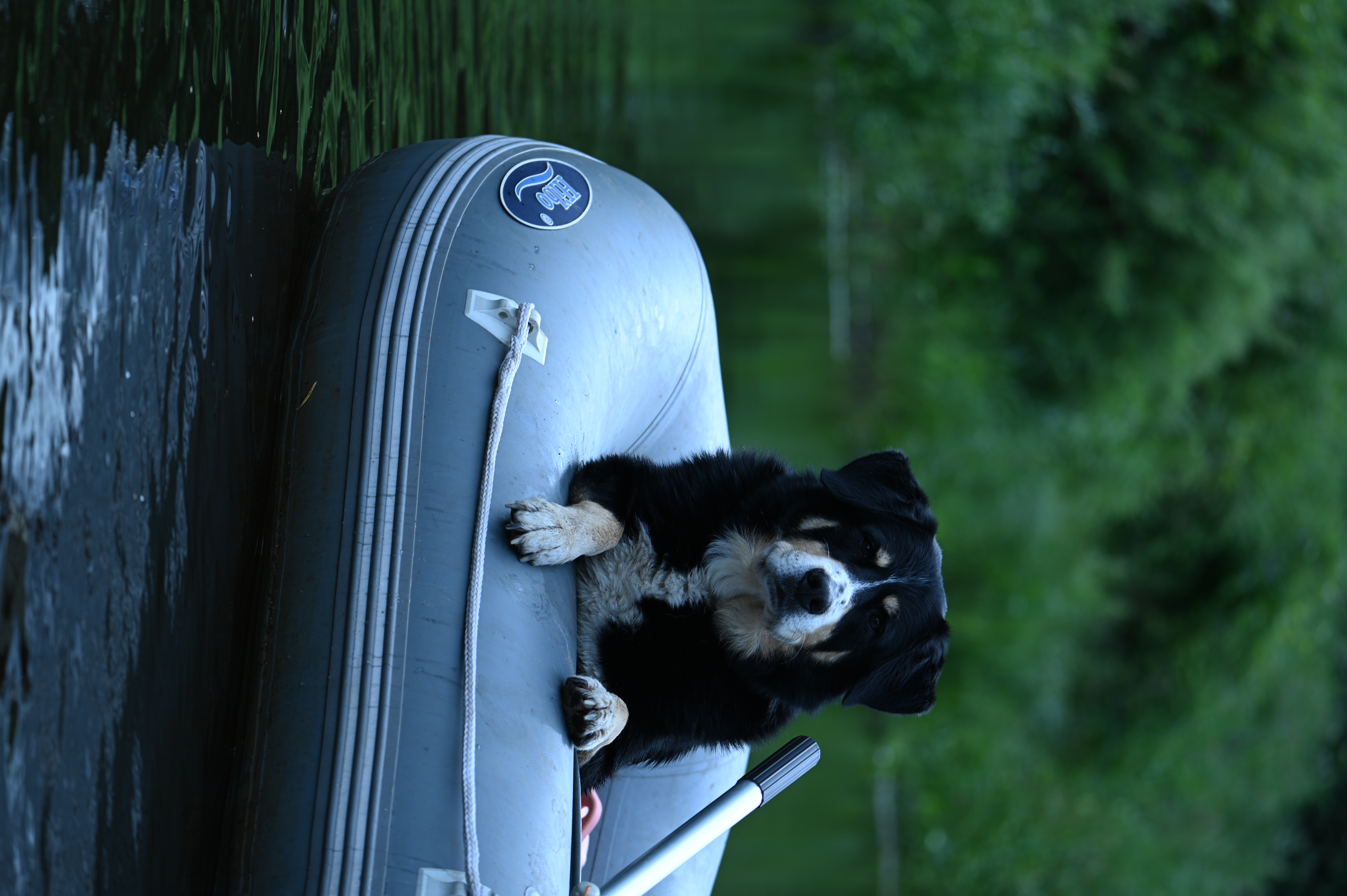 2025/07/09-14 - trip/DSC_0249.JPG